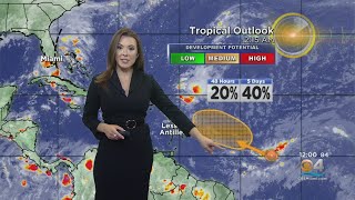Miami Weather: Rainy Weekend Ahead In South Florida