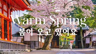 [Piano] 봄이 시작을 알리는 싱그러운 피아노 연주곡 (Warm Spring)