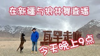 今天晚上9點鐵牛旅行記和三隻狗在新疆直播！歡迎大家進來交流！