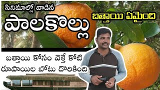 Palakollu Okappati Famous Bathai Yemaindi || పాలకొల్లు బత్తాయి || Palakollu By Muni