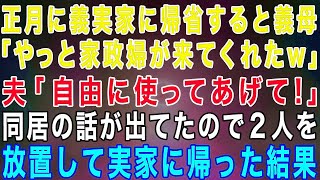 【スカッとする話】正月に義実家に帰省すると義母「やっと家政婦が来てくれたw」夫「自由に使ってあげて！お前もしっかり働けよ」→同居の話も出てたので2人を放置して実家