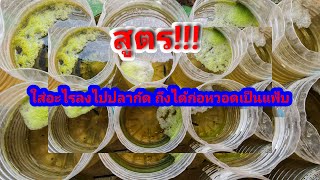 สูตร​ปลากัดก่อหวอดเป็น แฟ้บ!!!  ส่วนผสมดูในรายละเอียด