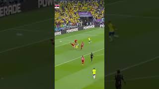 Richarlison,s #2022worldcup #bicycle kick