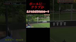 【ビデオ判定案件】ホームラン？アウト？ #ソフトボール #野球 #softball #甲子園 #好プレー集#日本代表 #可愛い #美女 #ルール #好プレー集 #アメリカ