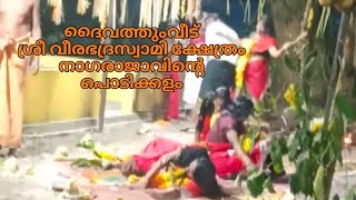 Sarppakkalam, ദൈവത്തുംവീട് ശ്രീ വീരഭദ്രസ്വാമി ക്ഷേത്രത്തിലെ സർപ്പക്കളം.05/01/2023. Kerala, Alpy.