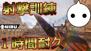 NIRUがひたすら射撃訓練する動画/1時間耐久/APEXseason8【NIRU切り抜き】