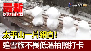 太平山一片銀白！ 追雪族不畏低溫拍照打卡【最新快訊】