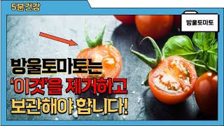 방울토마토의 놀라운 효능과 주의점 (고르는법, 손질법, 보관법 포함)