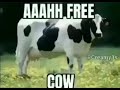 ahhh free cow meme