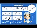 Zameer Name Meaning in Urdu | Zameer Naam Ka Matlab Kya Hai ضمیر | Amal Info TV