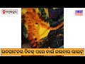 ଉଦଘାଟନ୍ ର ଦିନେ ପରେ ନାଇଁ ଜଲବାର୍ ଲାଇଟ୍