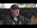 why shade and shelter are important to jalna feedlot vic