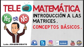 Matrices. Introducción a la definición. Conceptos básicos de una matriz.