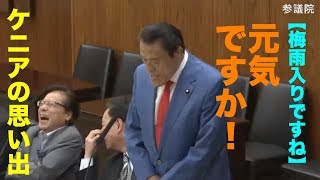 【梅雨入りですね】アントニオ猪木議員「元気ですか！」ケニアの思い出 2017/06/08 参議院外交防衛委員会