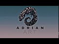 New intro AdrianArt  interference style