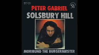 Peter Gabriel - Solsbury Hill (Torisutan Extended)