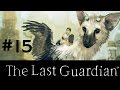 The Last Guardian Walkthrough Gameplay Part 15 (Full Game) – 1080p Full HD PS4 – No Commentary