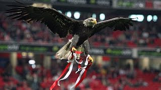 O vôo da águia - Benfica vs Sporting 0-3 (Dérbi) Jornada 8 -  25/10/2015