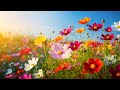 Super Relaxing Music For The Heart And Blood Vessels, Power Of Spirit And Pleases The Soul