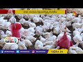 బ్రాయిలర్ కోళ్ళలో కాంట్రాక్ట్ ఫార్మింగ్ poultry farming methods matti manishi 10tv news