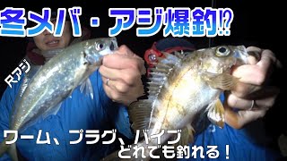 冬メバル・アジング！ワーム、プラグ、バイブ、どれ投げても釣れる！？尺アジもお祭り？