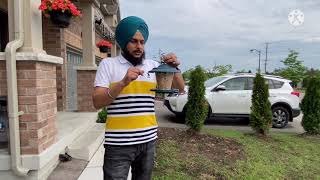 Why and What Should You Feed To Birds?ਪੰਛੀਆਂ ਨੂੰ ਚੋਗਾ ਕਿਉਂ ਤੇ ਕਿਹੜਾ ਪਾਉਣਾ ਚਾਹੀਦਾ ਹੈ?