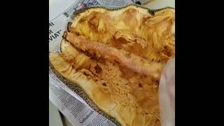 Easiest Correct Way To Open A Ripe Cempedak (Jackfruit Family) Asia Street Food Knife Cutting Skills