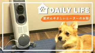 【冬支度】オイルヒーターの再稼働で愛犬の睡眠環境が快適になりました【De Longhi】