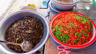 Cricket! Coconut Worm! Would You Try It?? Hollywood Star, Angelina Jolie Also Tried It In Cambodia!!