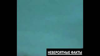 Необычные огни, мигающие в тучах #shorts #невероятныефакты #нло