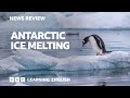 Antarctic ice melting: BBC News Review