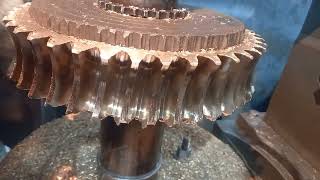 Bronze worm gear casting on hobbing machine |