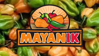 Bishop Brad Reviews Mexico's MAYANIK RECETA HABANERO Hot Sauce