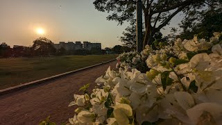 City Cycling | Gandhinagar Parks | Swarnim Park