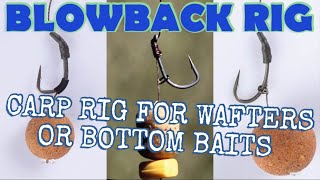 Carp Rig - Blowback Rig - Wafters or Bottom baits @sifishes