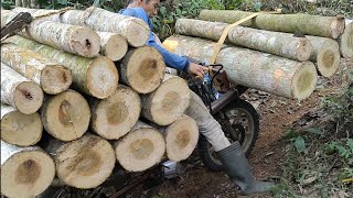 Ojek Kayu Overload,muatan super berat sampai jatuh bangun membawa muatan #woodworking #kayusengon