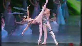 Ballet duo (芭蕾双人舞)