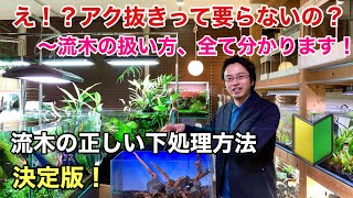 水草水槽に入れる流木の正しい下処理方法（アク抜き・沈め作業）【決定版】ADAネイチャーアクアリウム、レイアウト立ち上げ、熱帯魚、初心者、トリミング、植栽、６０cm水槽メイキング、aquarium