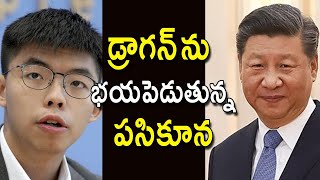 China Dragon And The Hong Kong Kid | చైనా డ్రాగన్ ను భయపెడుతున్న హాంగ్ కాంగ్ పసికూన | #DannyTeluguTV