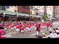 2017 第36回浅草サンバカーニバル 浅草小サンバ隊asakusa samba carnival