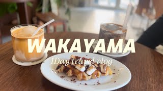 vlog #03 🐟⛩️|日帰り和歌山| Wakayama 1 Day Travel