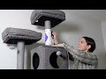 how to assemble catry kingdom cat tree from costco