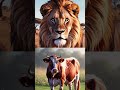 what animal next? #zoo #animals #tiger #lion #cow #gorilla #deer #bear