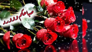 صباحيات حالات واتس🌹ستوريات الصباح🌹صباح الورد🌹#2024🌹#صباحيات🌹#ستوريات_نور🌹