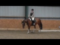 british dressage intro a 08.08.15 70.65% walk trot test