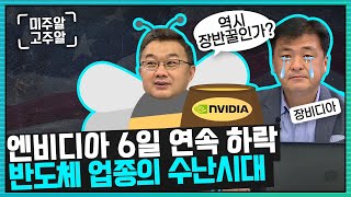 엔비디아 6일 연속 하락, 역시 장반꿀? 반도체 업종의 수난시대! (미국주식투자/22.04.13)