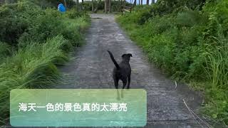 [想衝就衝Vol.1]露營要選海邊還是山上玩溪水呢？小孩子才做選擇，大人全都要。wada野居一次滿足你