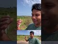 காட்டுக்குள் ஜனாதிபதி மாளிகை jaffna palai rj chandru vlogs