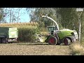 kleines feld sauber abernten maishäckseln uncut lohnunternehmen spitzner claas jaguar 970