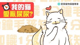 【1分鐘毛孩知識】為什麼我家貓皇愛到處尿尿  │ 愛寶寵新知 AIPAWs X 毛小孩愛健康 IFURRY